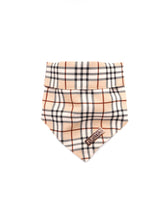 Houndbury Bundle