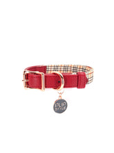 Houndbury Bundle