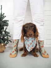 Deck the Paws XMAS Socks